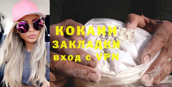 индика Приозерск