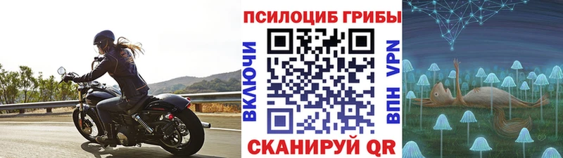 darknet официальный сайт  купить  сайты  Озёры  Псилоцибиновые грибы мухоморы 